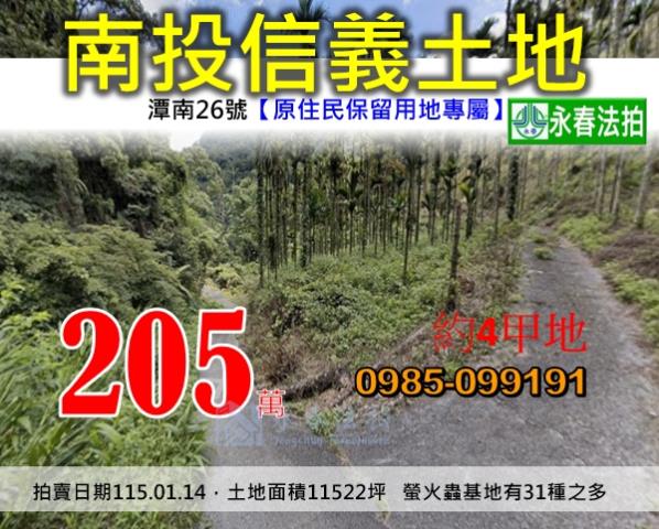 信義鄉山坡地法拍-0