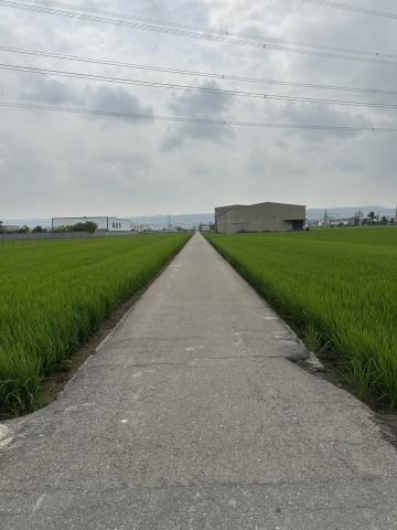 龍井農地法拍-5